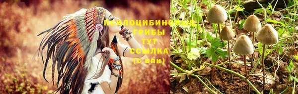 дживик Новозыбков